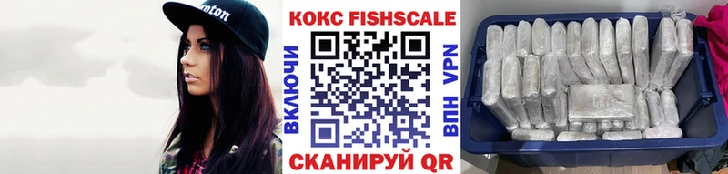 Кокаин Эквадор  где купить наркотик  KRAKEN как войти  Камешково 
