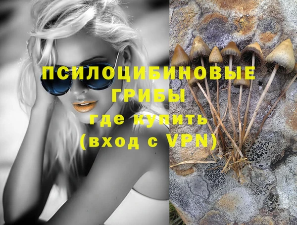 прущий лед Алексин