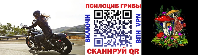 Галлюциногенные грибы ЛСД  ссылка на мегу ссылки  Камешково 