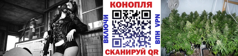 МЕГА как войти  купить наркотик  Камешково  Бошки марихуана тримм 